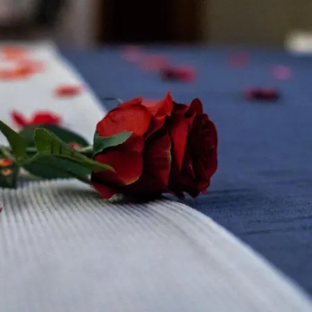 Paraiso Do Braseiro Hotel Vila Nova de Gaia