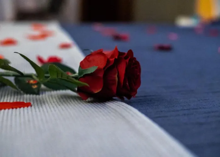 Paraiso Do Braseiro Hotel Vila Nova de Gaia